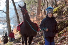 Kindergeburtstag mit Lamas Kindergeburtstag mit Lamas