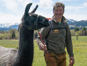 Geführte Wanderungen & Touren mit Lamas im Allgäu