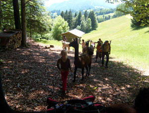 Gef&uuml;hrte Wanderungen & Touren mit Lamas im Allg&auml;u