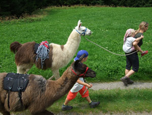 Gef&uuml;hrte Wanderungen & Touren mit Lamas im Allg&auml;u