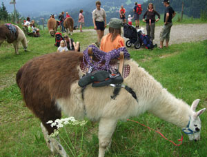 Gef&uuml;hrte Wanderungen & Touren mit Lamas im Allg&auml;u