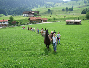 Gef&uuml;hrte Wanderungen & Touren mit Lamas im Allg&auml;u
