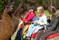 Kindergeburtstag mit Lamas Kindergeburtstag mit Lamas